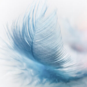 Energiearbeit EmotionsCode