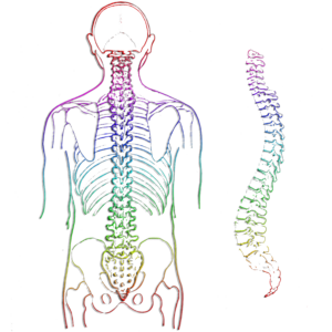 Energiearbeit Wirbelsäulenaufrichtung